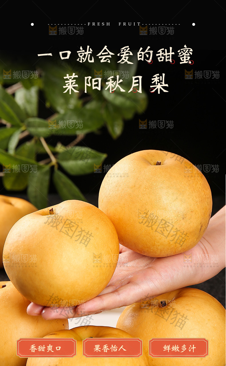 莱阳秋月梨详情页