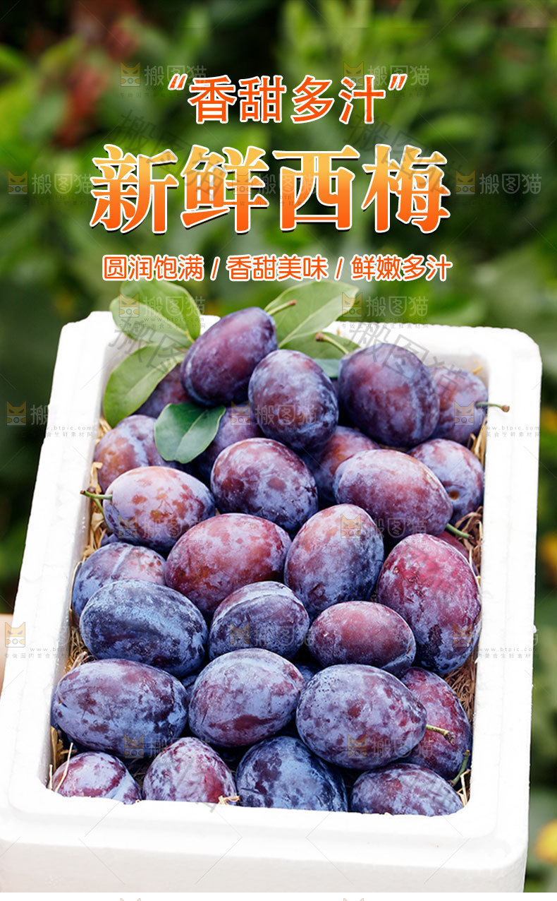 新鲜西梅详情页