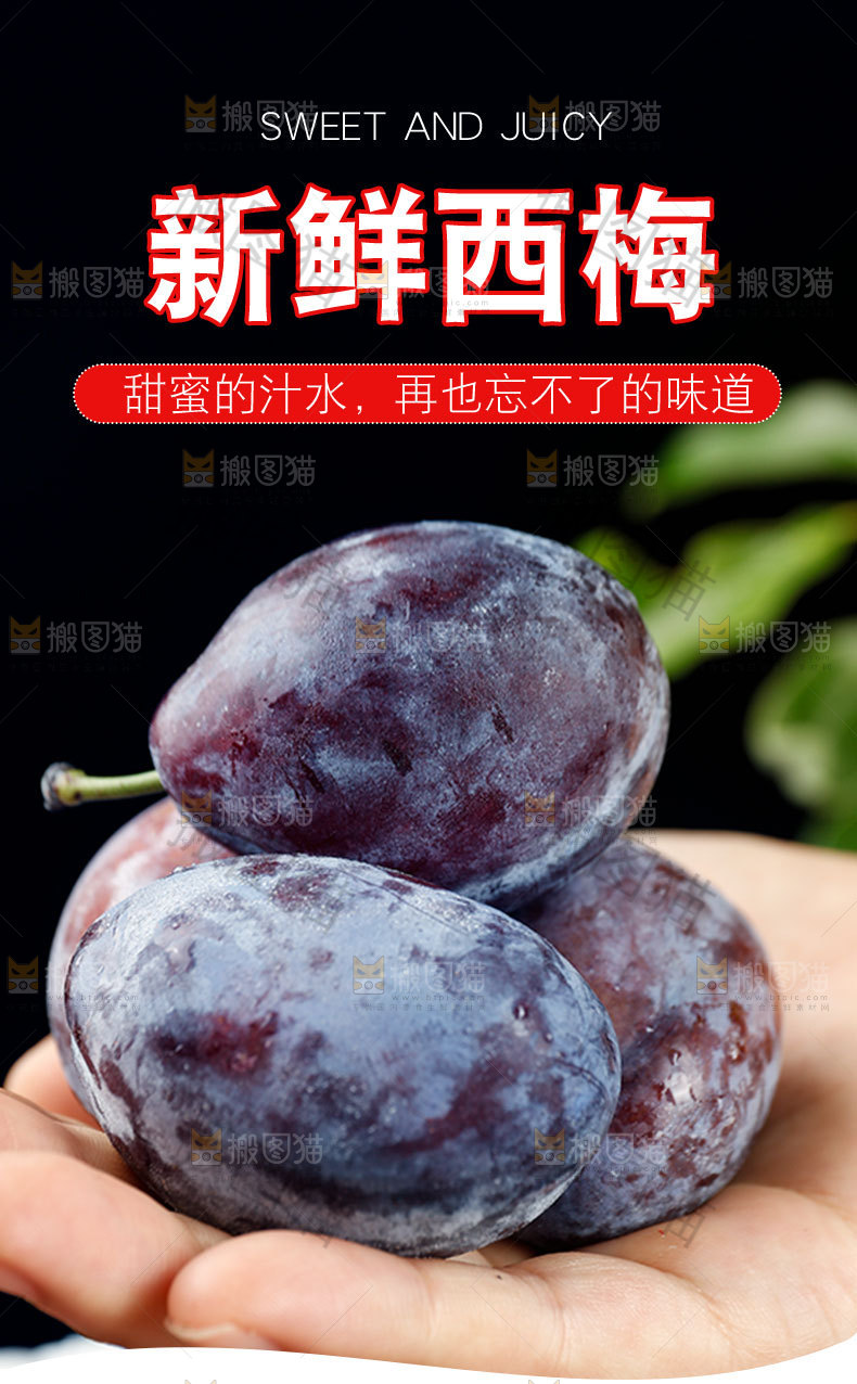 新鲜西梅详情页