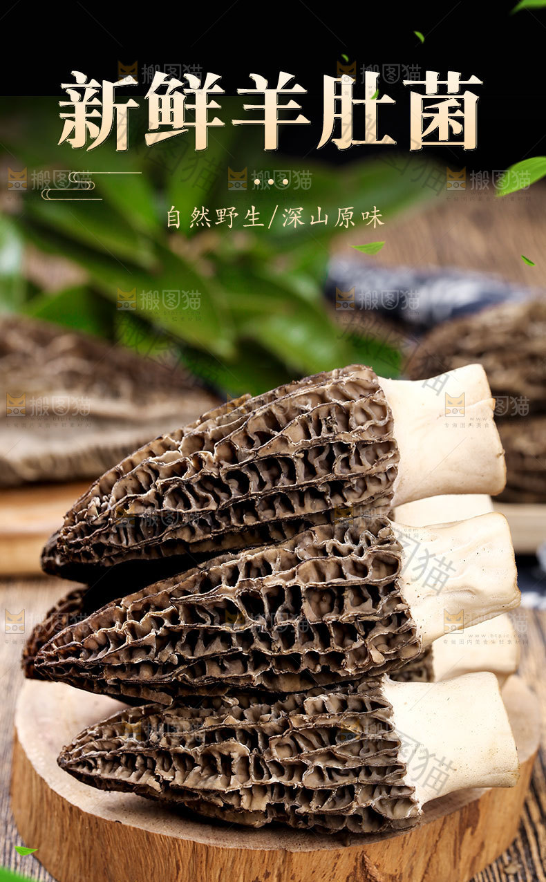 羊肚菌详情页