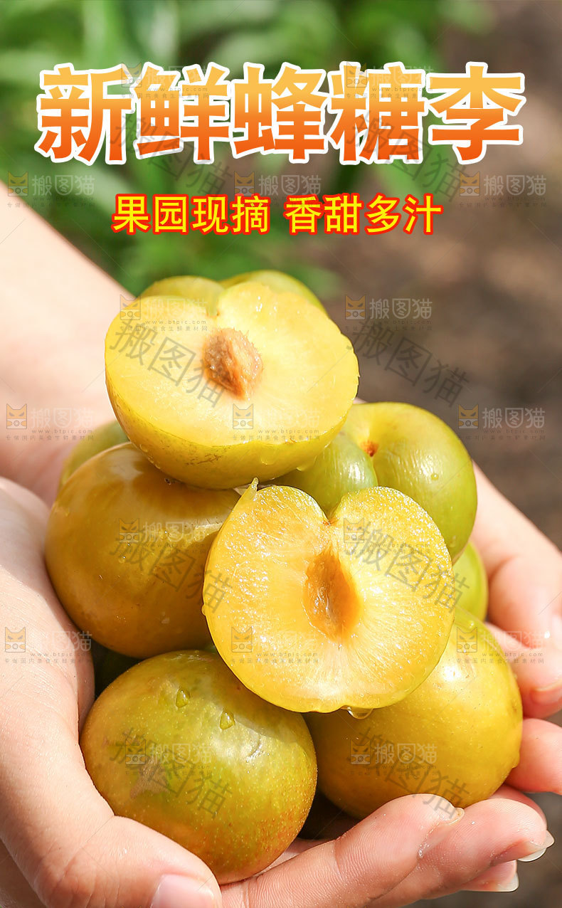 新鲜蜂糖李详情页