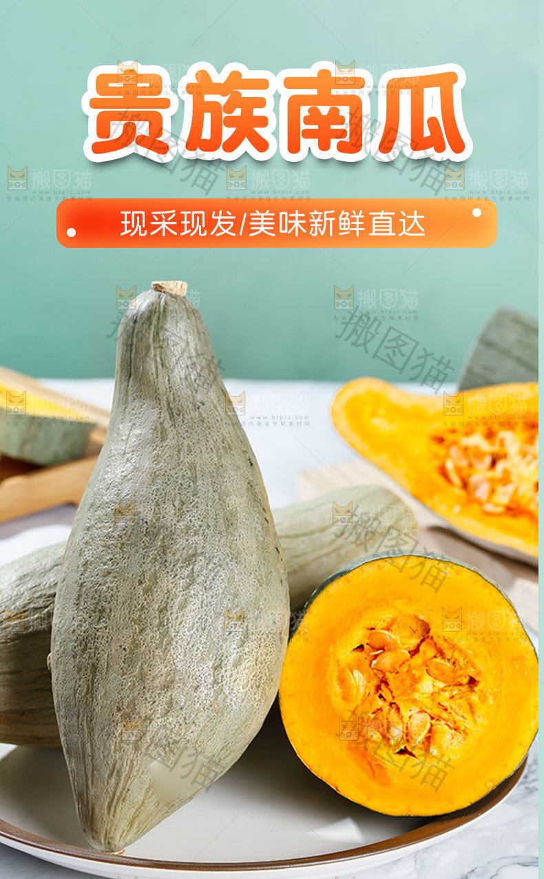 贵族南瓜详情页