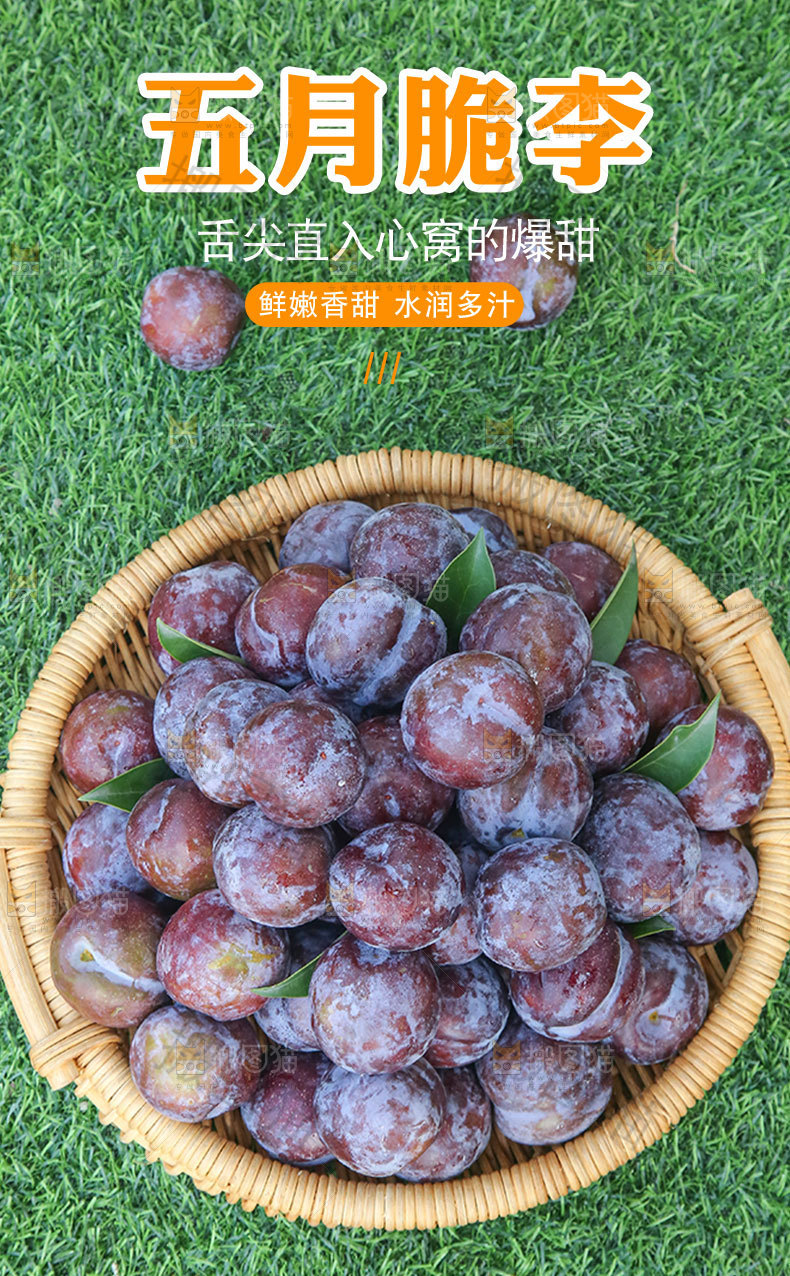 五月脆李详情页