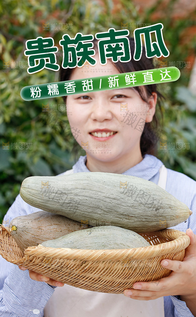 贵族南瓜详情页