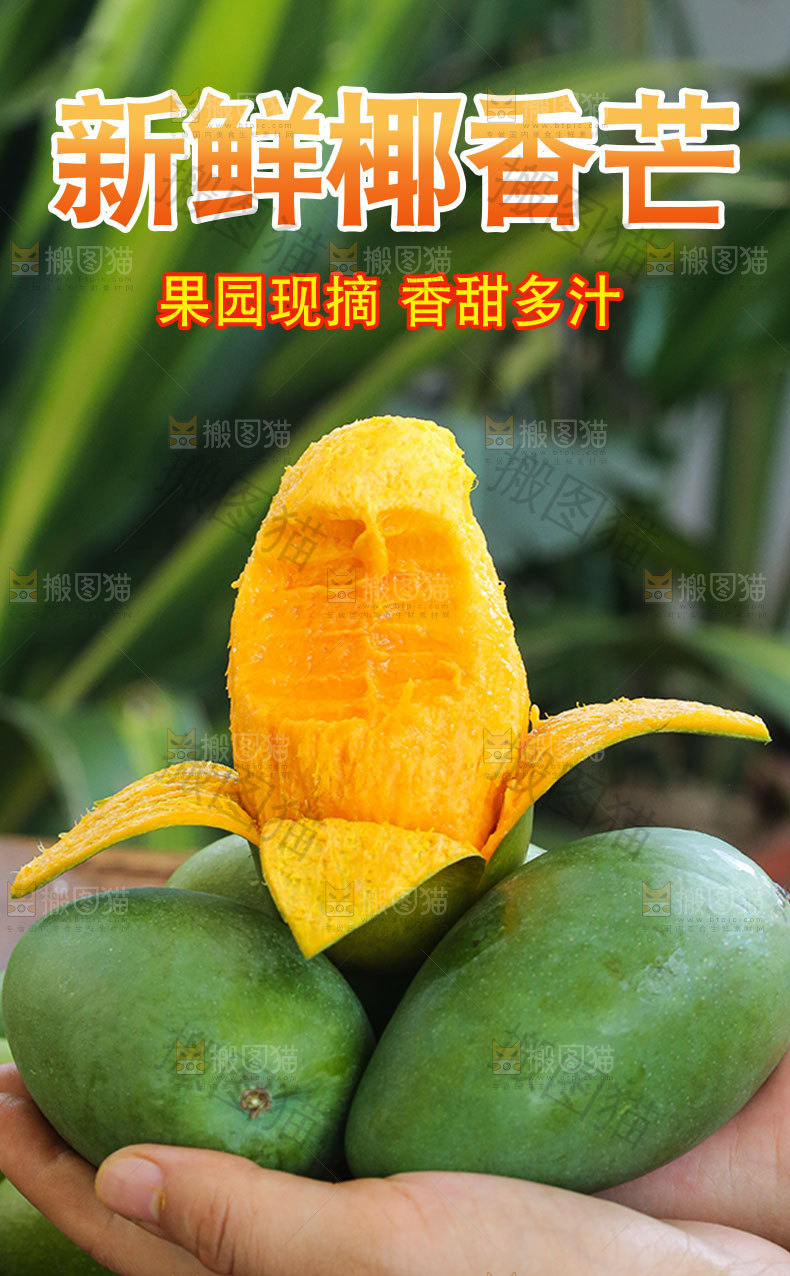 新鲜椰香芒详情页