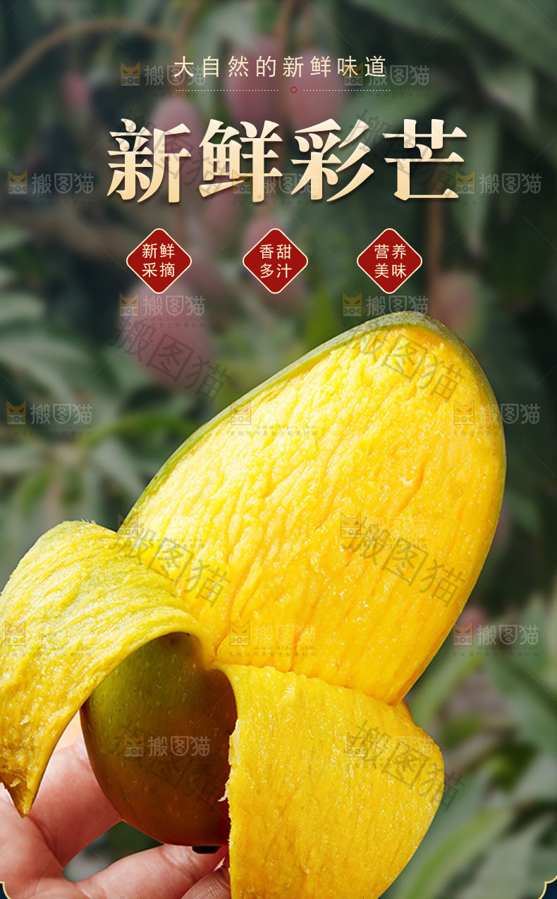 新鲜彩芒详情页