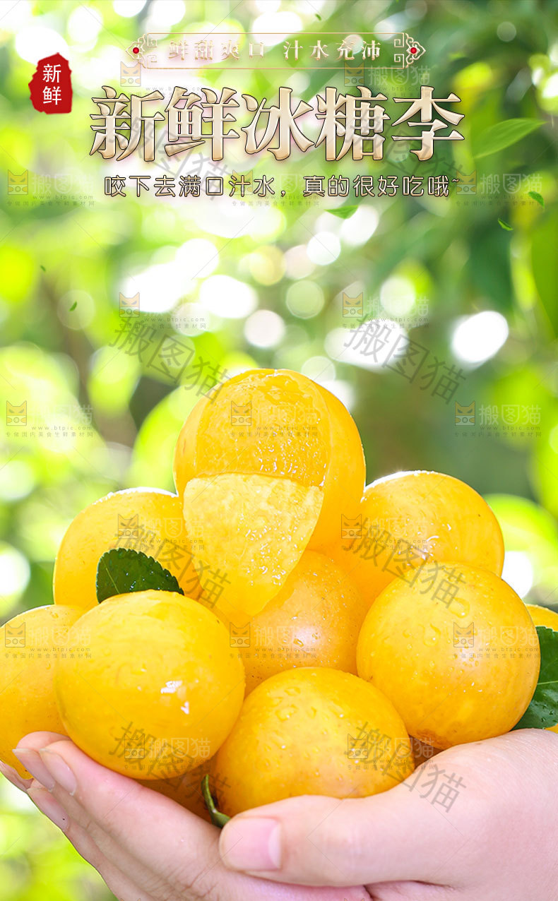 新鲜冰糖李详情页