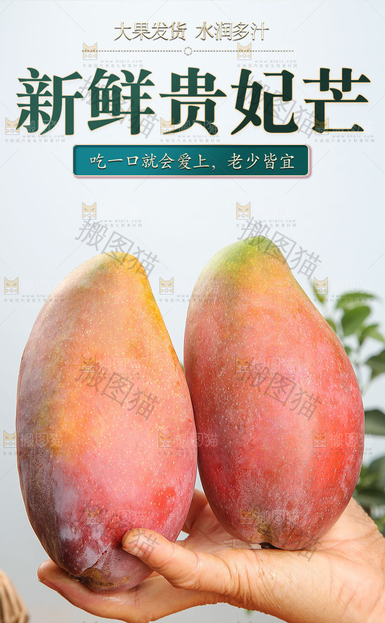 新鲜贵妃芒详情页
