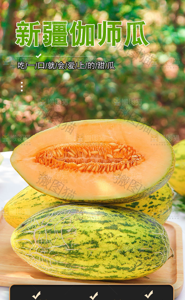 新疆伽师瓜详情页