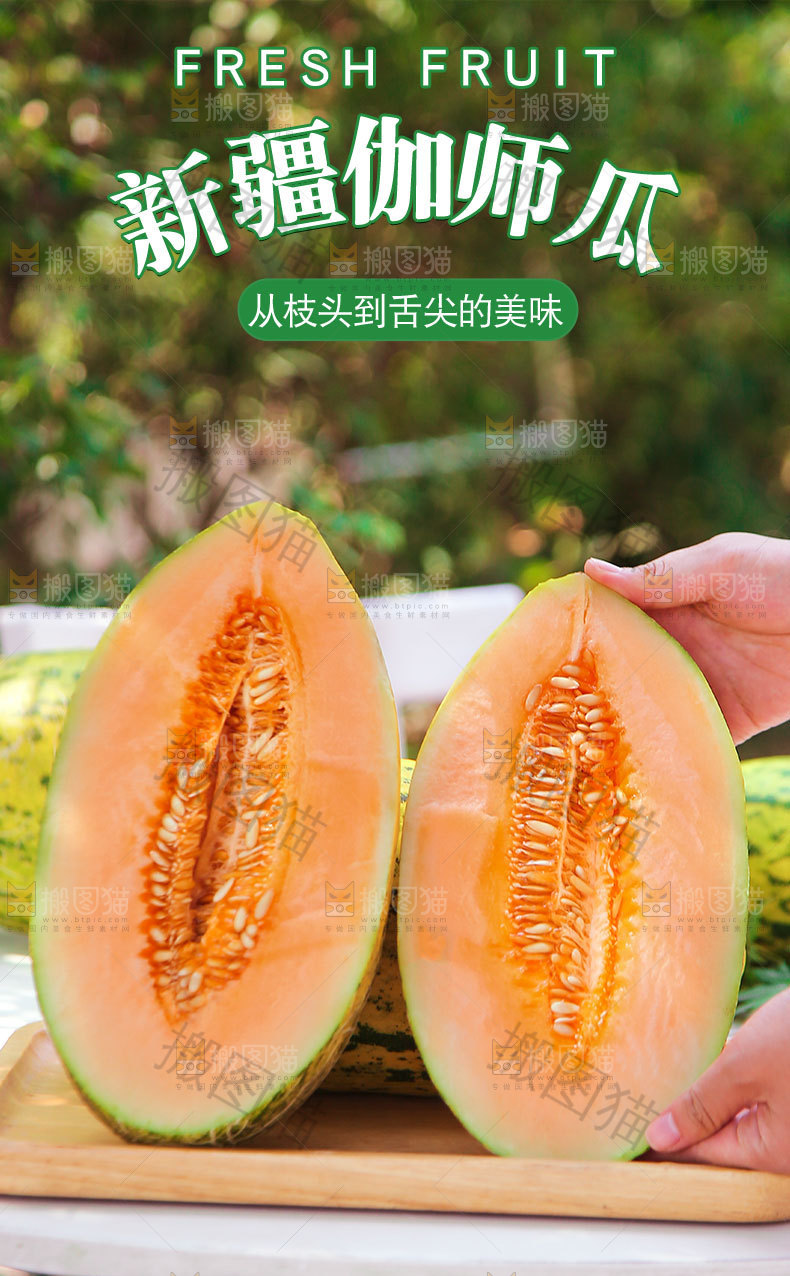 新疆伽师瓜详情页