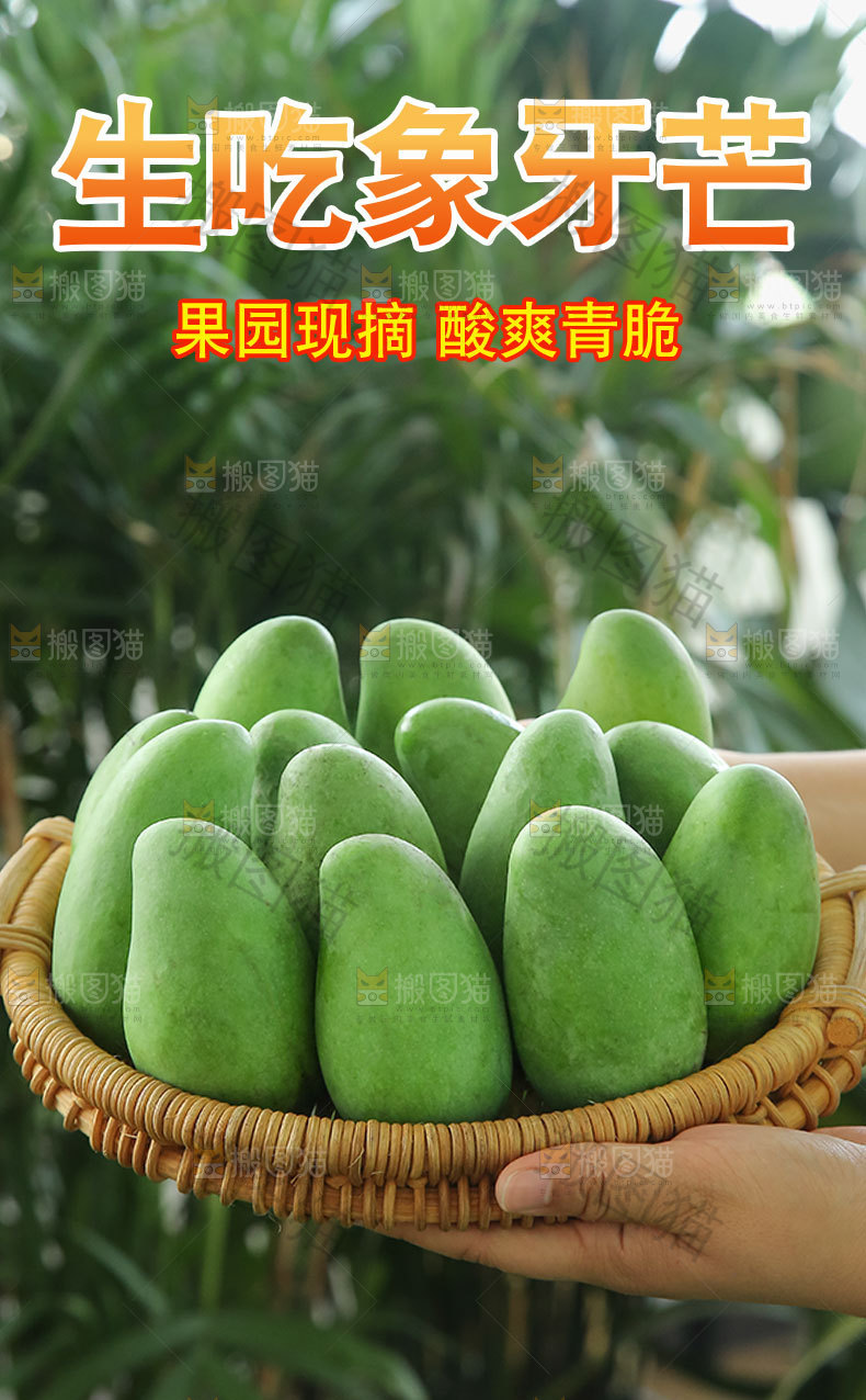 生吃象牙芒详情页