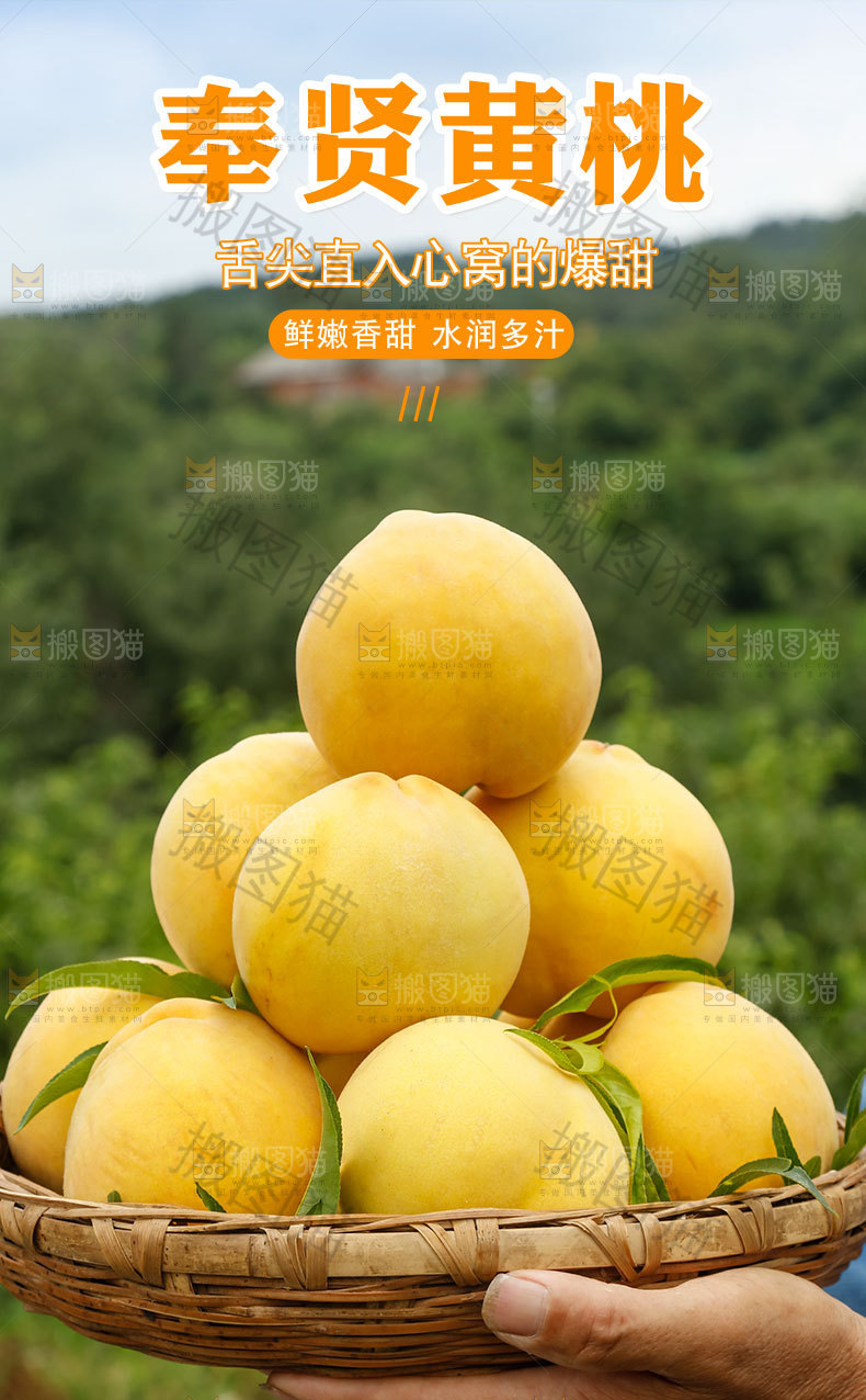 奉贤黄桃详情页