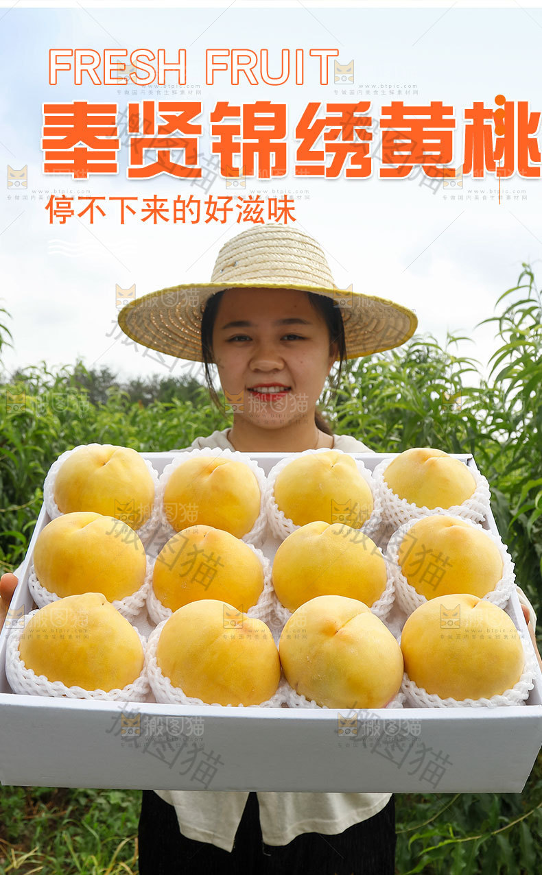 奉贤锦绣黄桃详情页