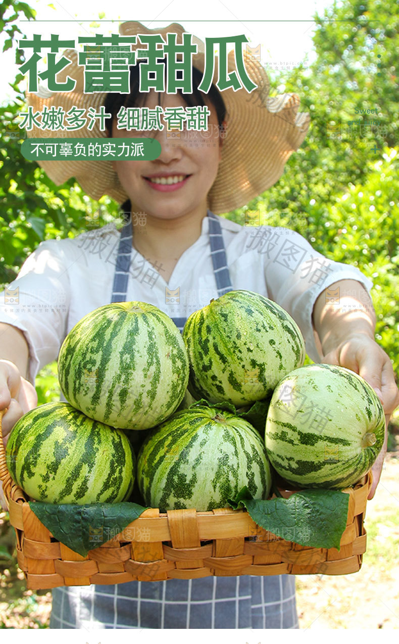 花蕾甜瓜详情页