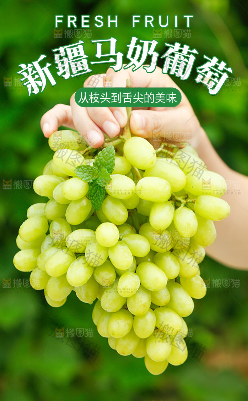 新疆马奶葡萄详情页