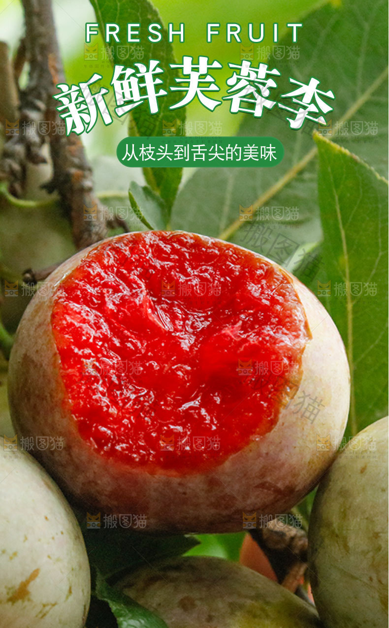 新鲜芙蓉李详情页