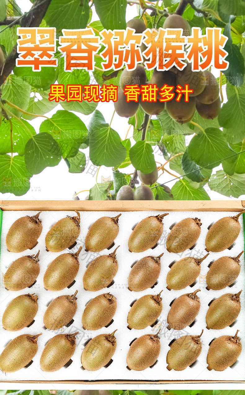 翠香猕猴桃详情页