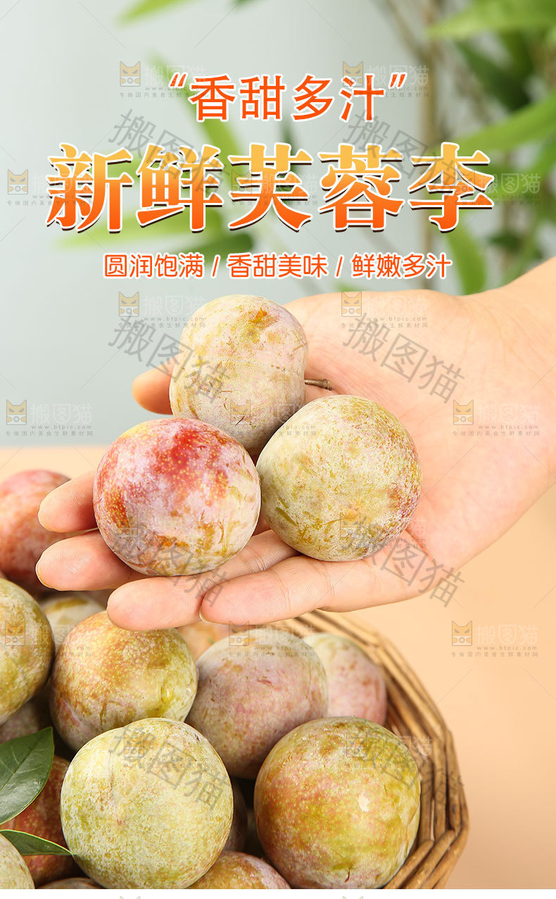 新鲜芙蓉李详情页