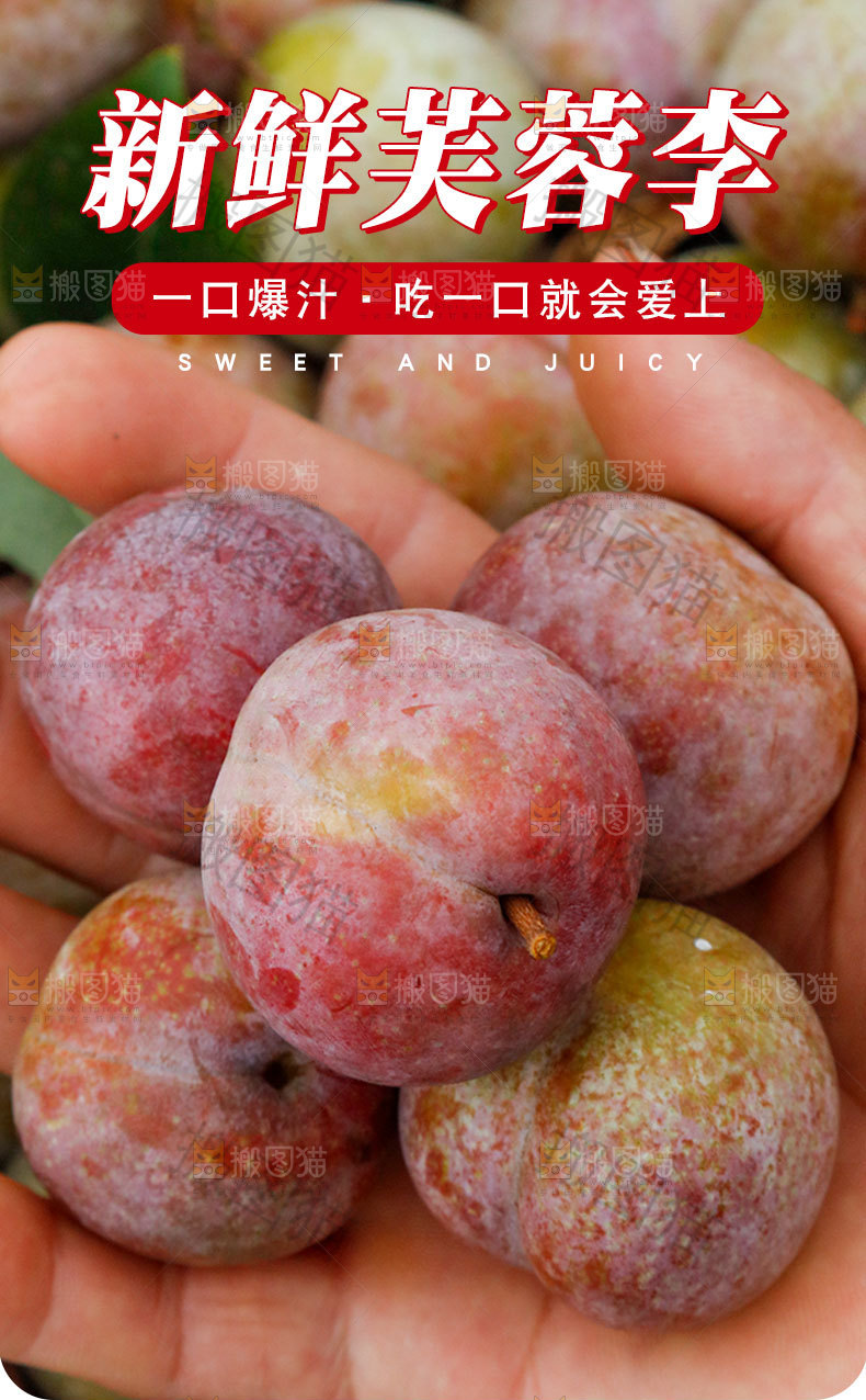 新鲜芙蓉李详情页