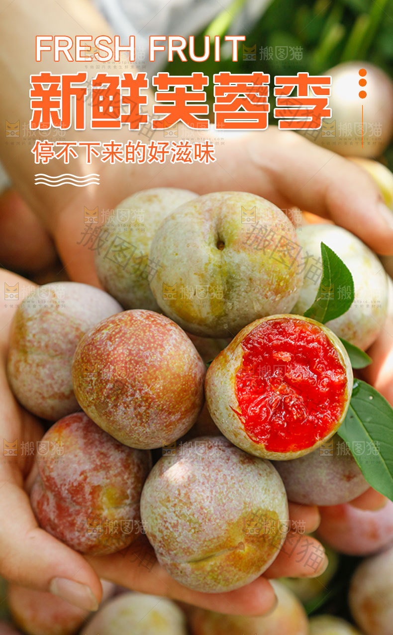 新鲜芙蓉李详情页