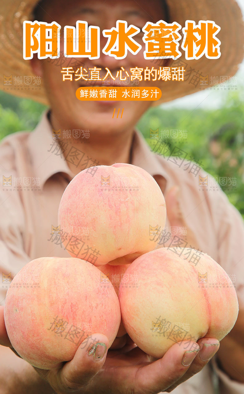 阳山水蜜桃详情页
