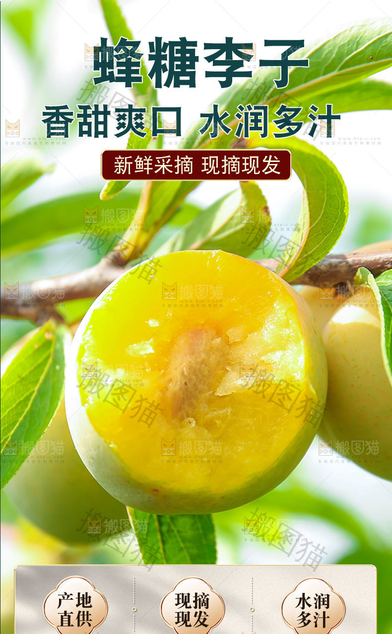 蜂糖李子详情页