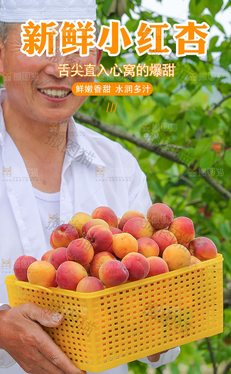 新鲜小红杏详情页