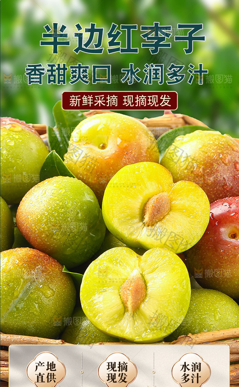半边红李子详情页