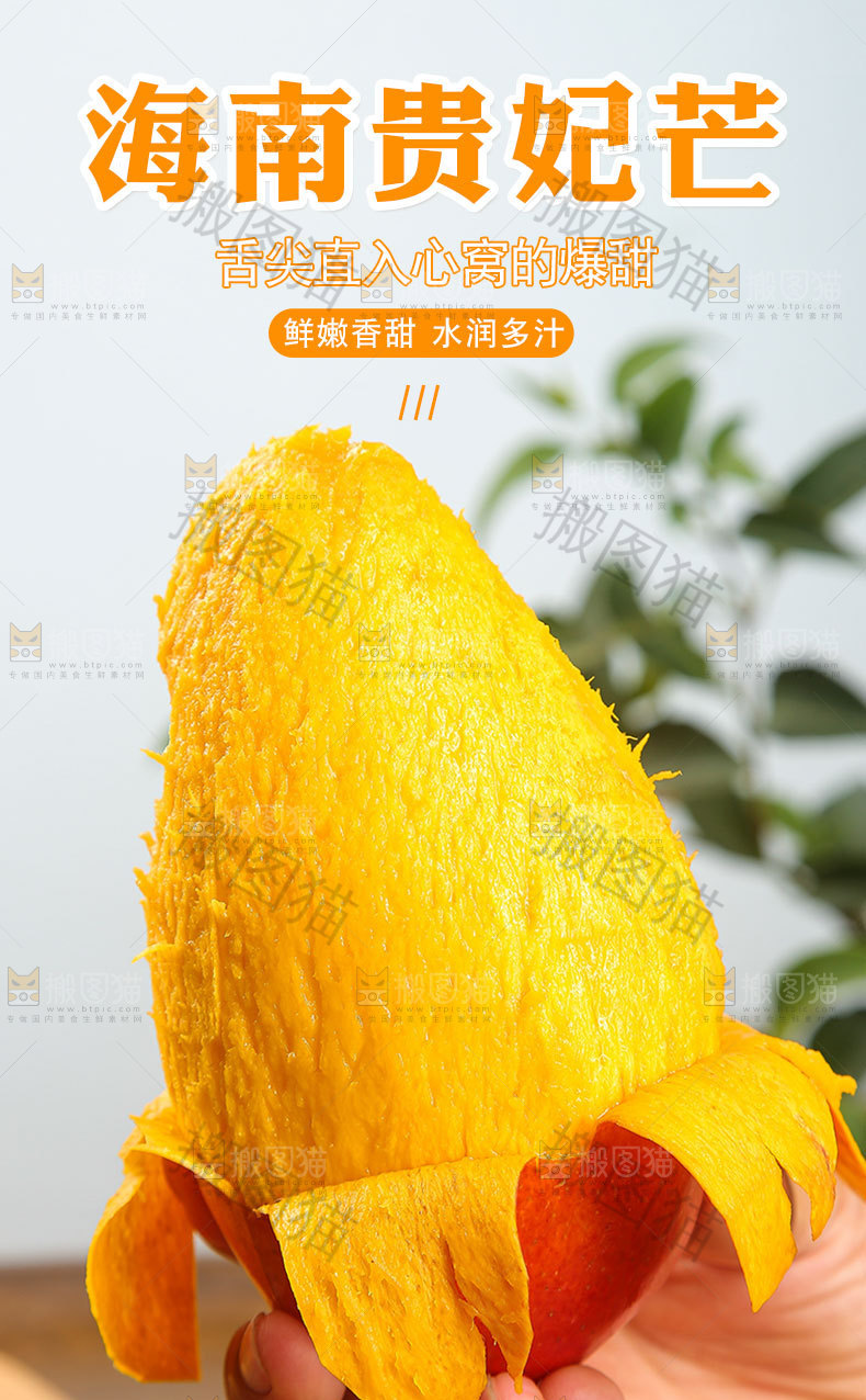 海南贵妃芒详情页