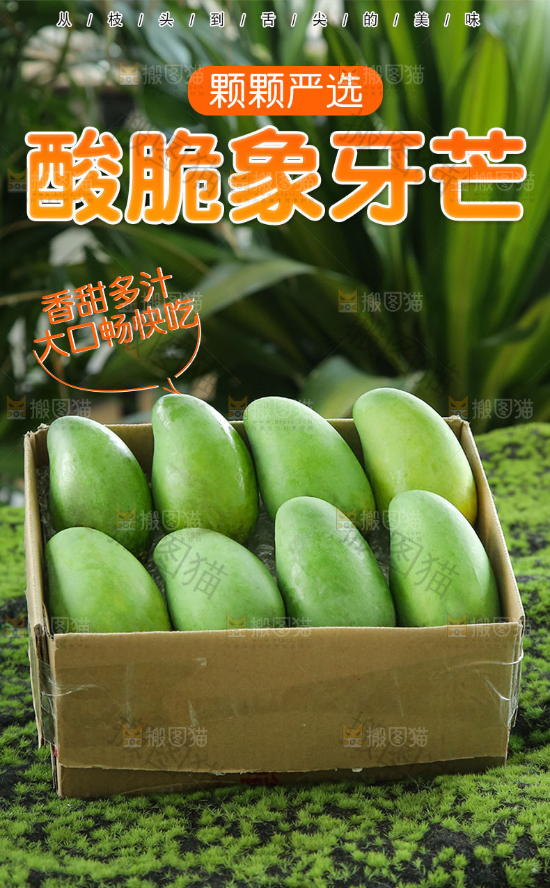 酸脆象牙芒详情页