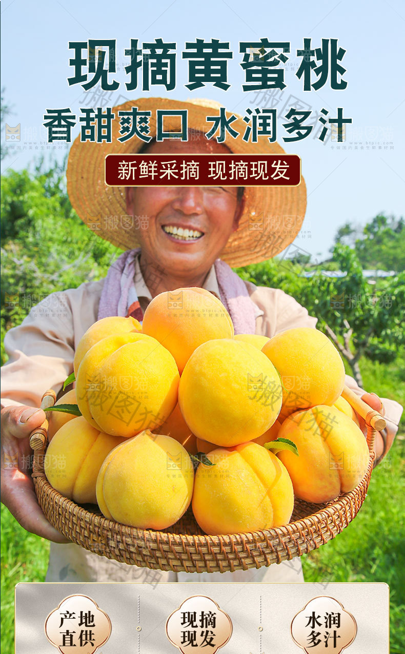 现摘黄蜜桃详情页