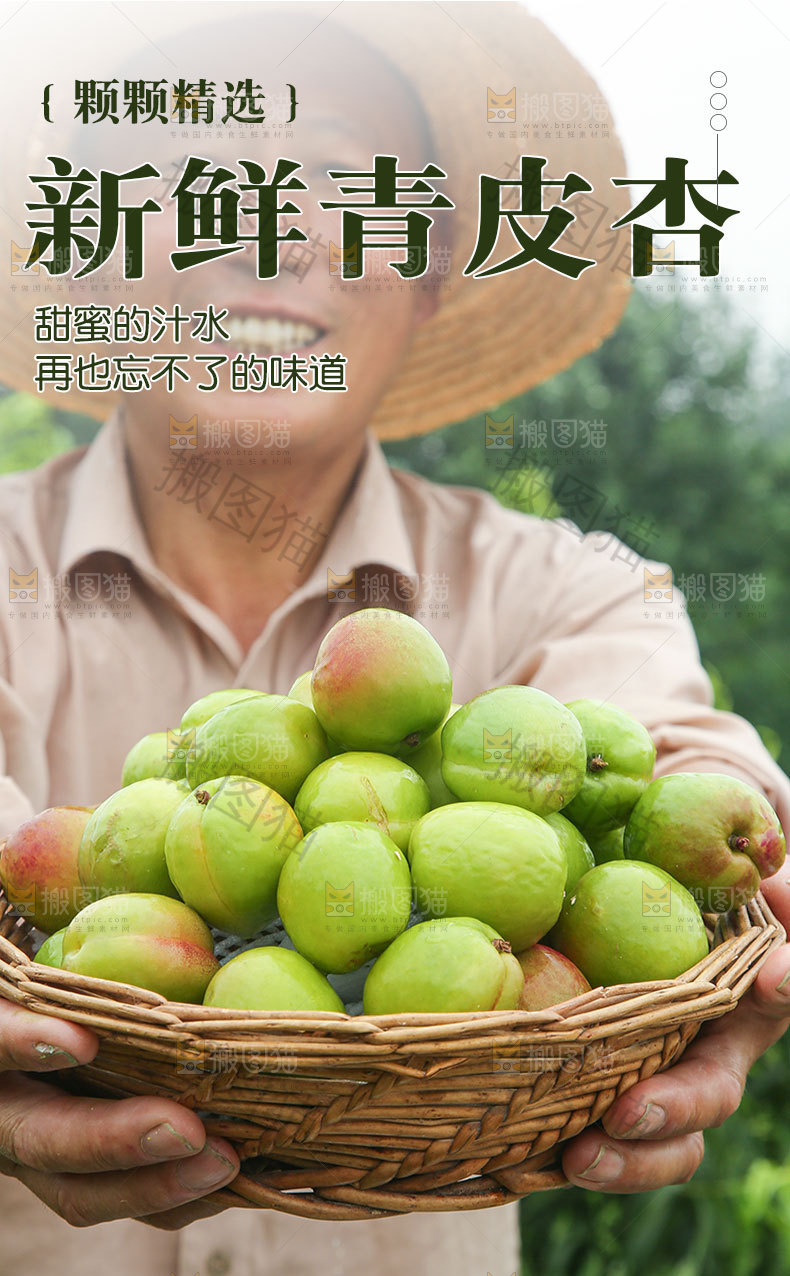 新鲜青皮杏详情页