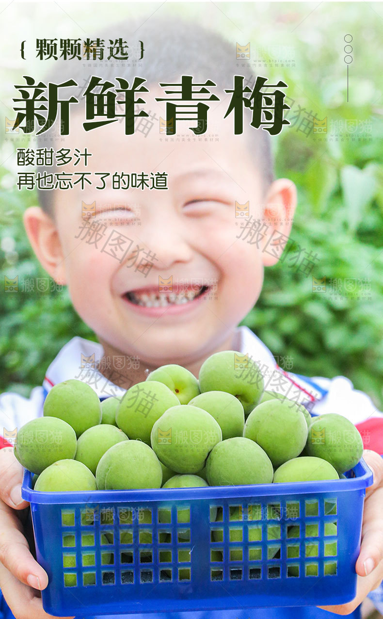 新鲜青梅详情页