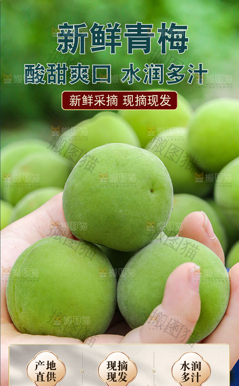 新鲜青梅详情页