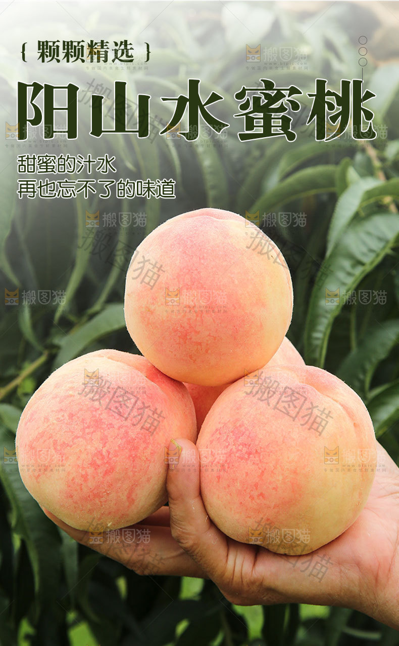 阳山水蜜桃详情页