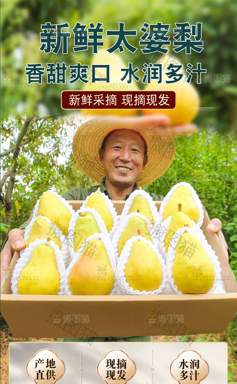 新鲜太婆梨详情页
