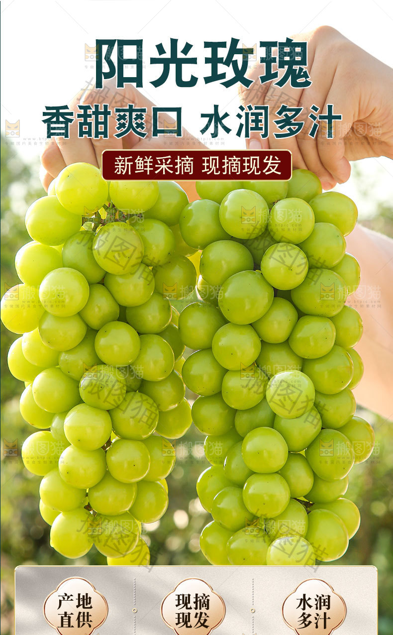 阳光玫瑰详情页