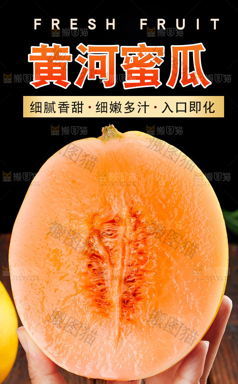 黄河蜜瓜详情页