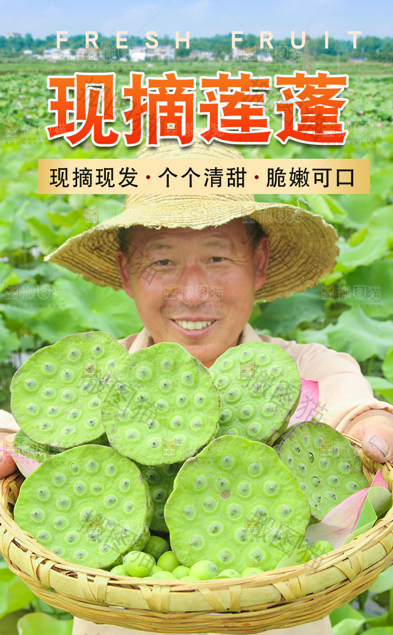 现摘莲蓬详情页