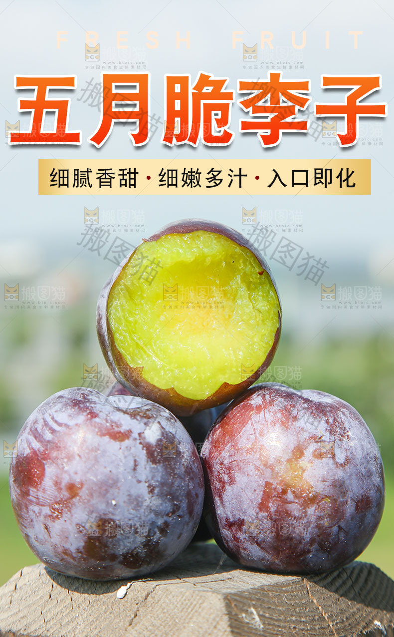 五月脆李子详情页