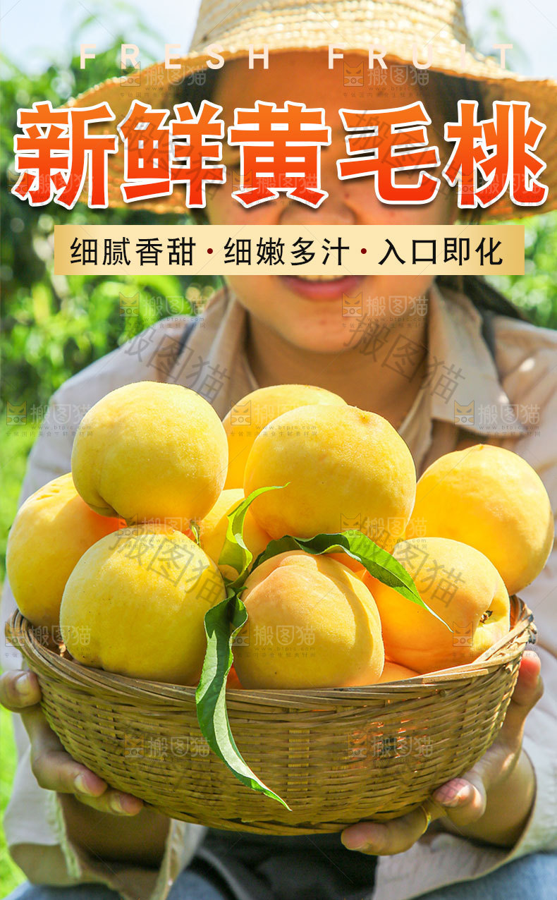 新鲜黄毛桃详情页