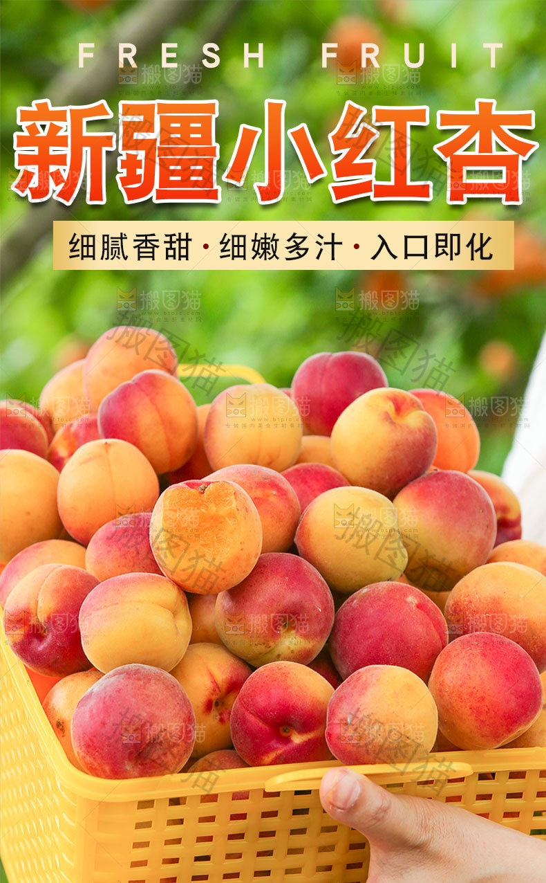 新疆小红杏详情页