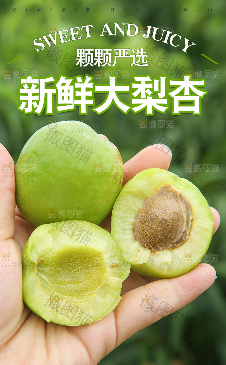 新鲜大梨杏详情页