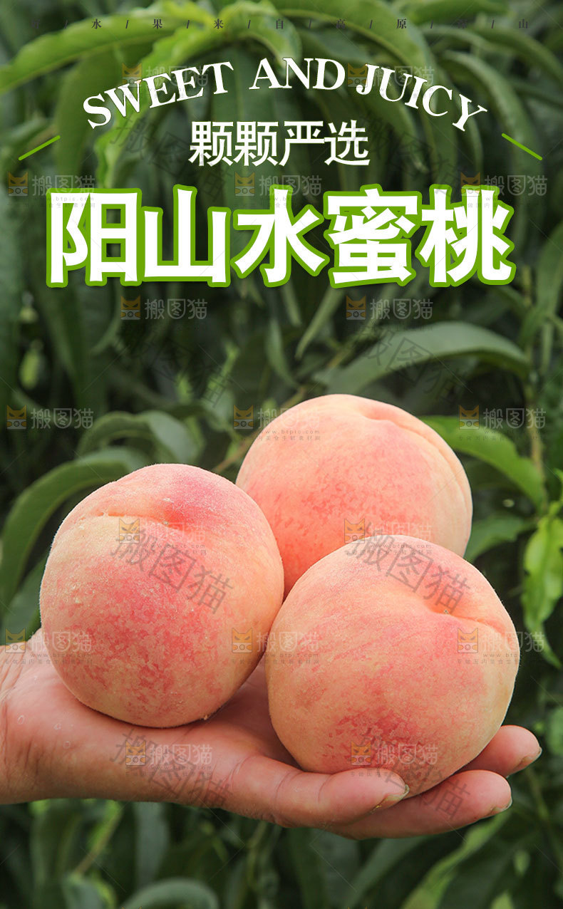 阳山水蜜桃详情页