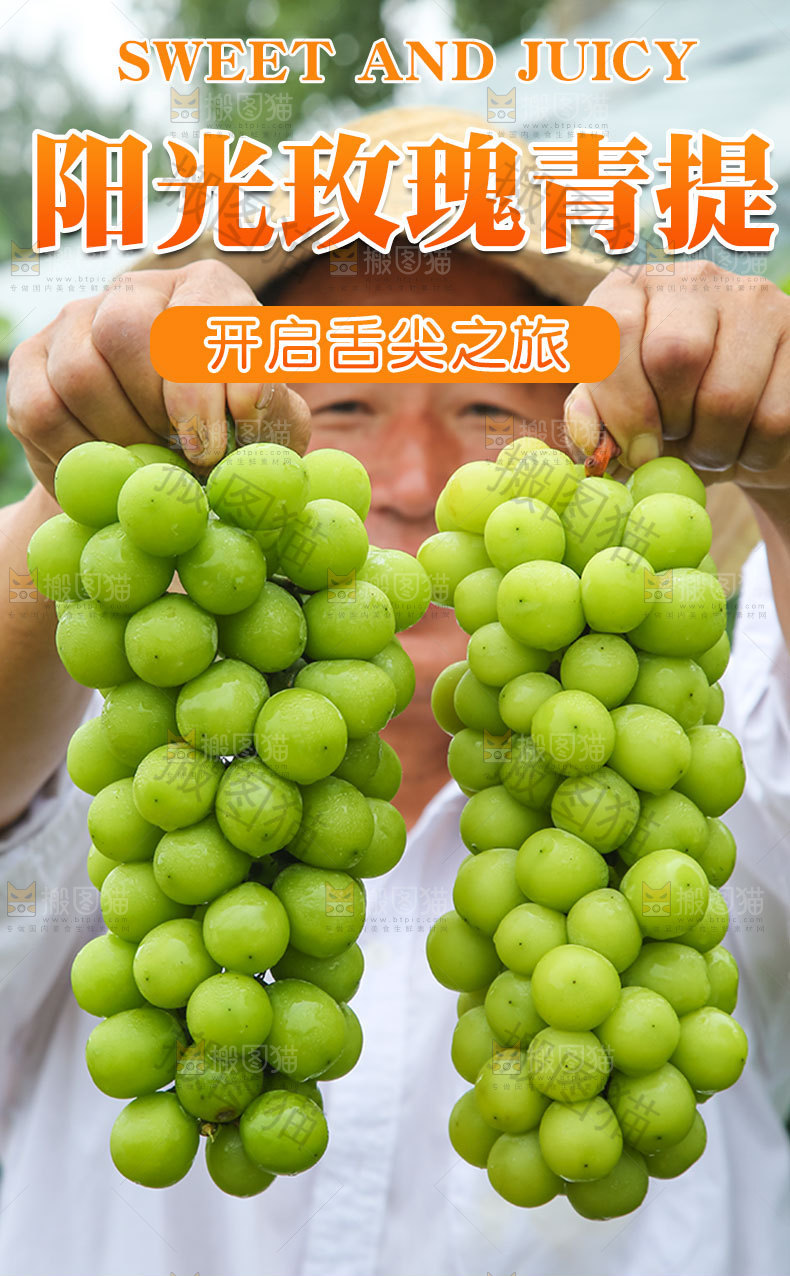阳光玫瑰详情页