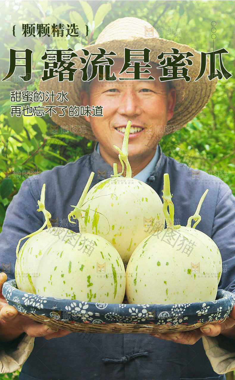 月露流星蜜瓜详情页
