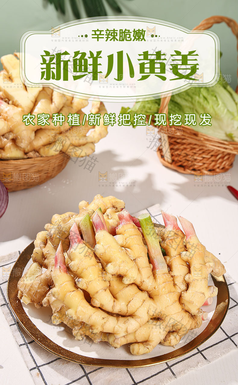 新鲜小黄姜详情页