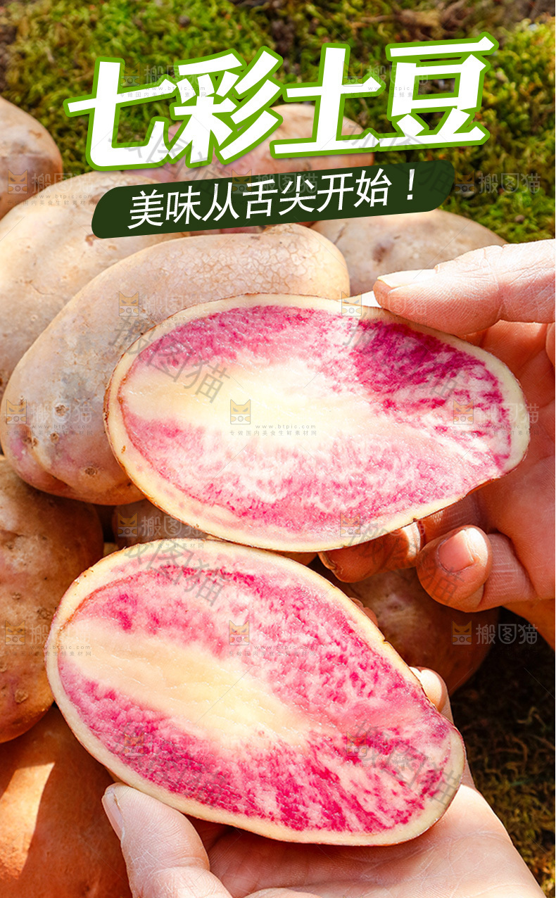 七彩土豆详情页