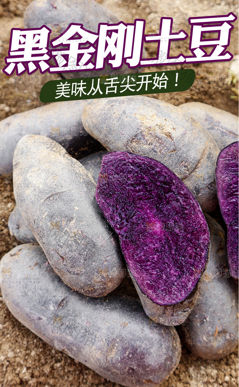 黑金刚土豆详情页