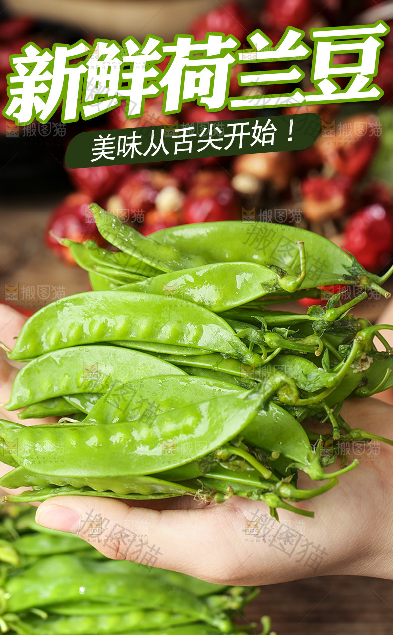 新鲜荷兰豆详情页